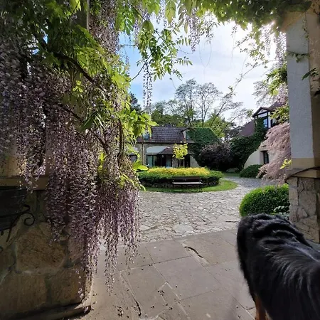 Nocleg ze śniadaniem Winna Góra 3*